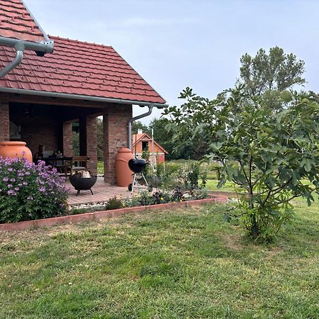 Kosbor Panzio Bed & Breakfast Magyarszombatfa Exterior photo